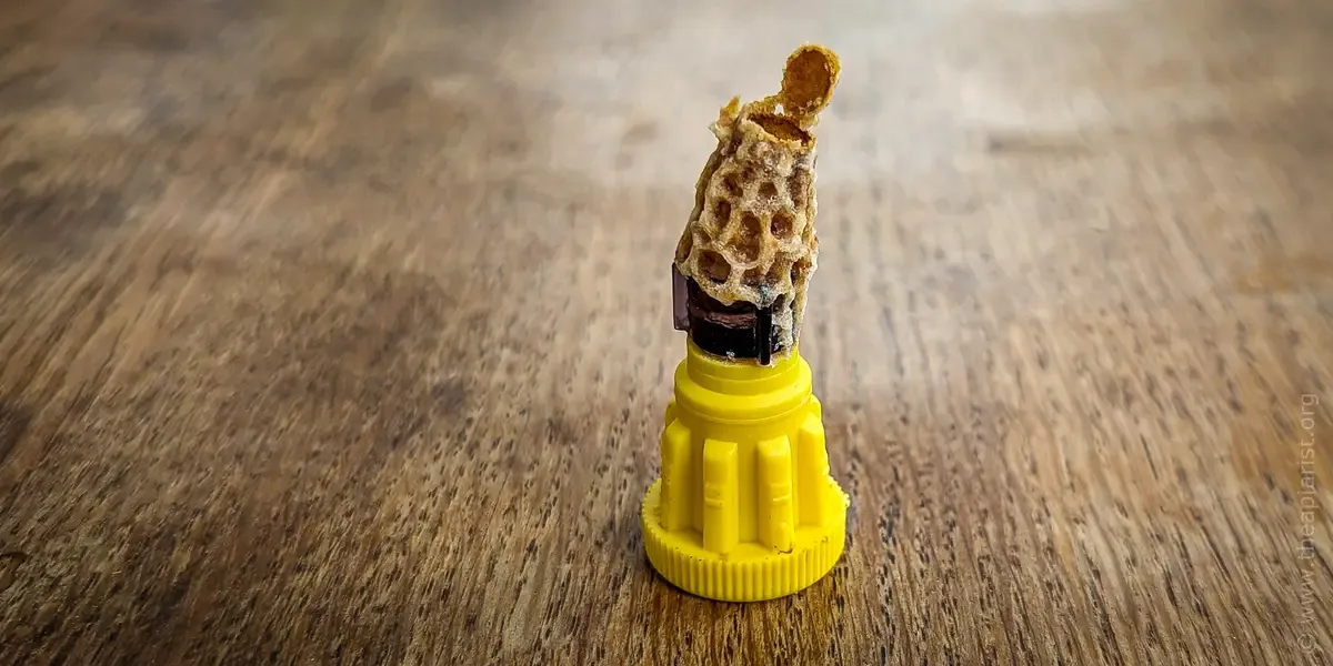 The best way to : Grafting