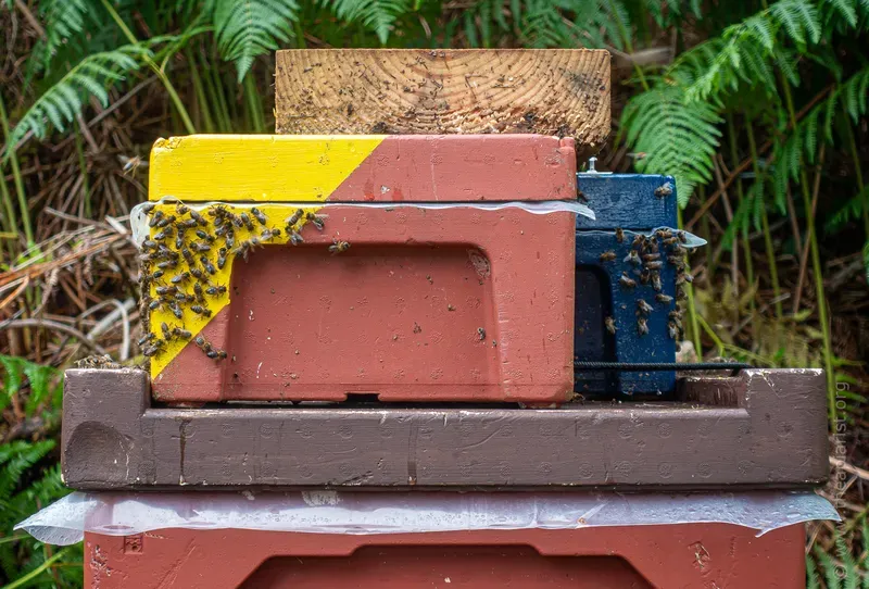 Two mini-nucs