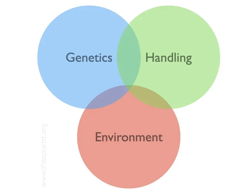 Environment-Handling-Genetics ... The influences on colony temperament