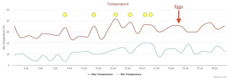 July temperature graph for Fife