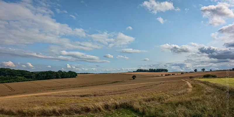 Mixed farmland with copses and hedgerows