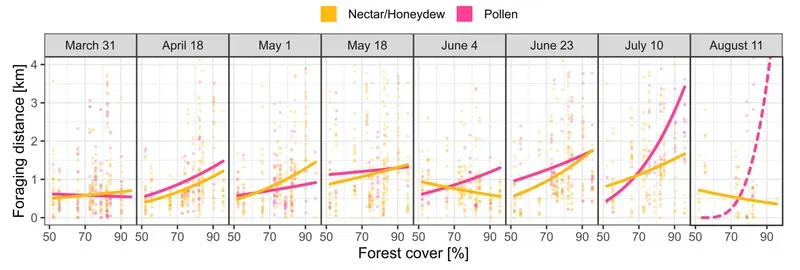 Forest cover and foraging distance (Rutschmann et al., 2023)