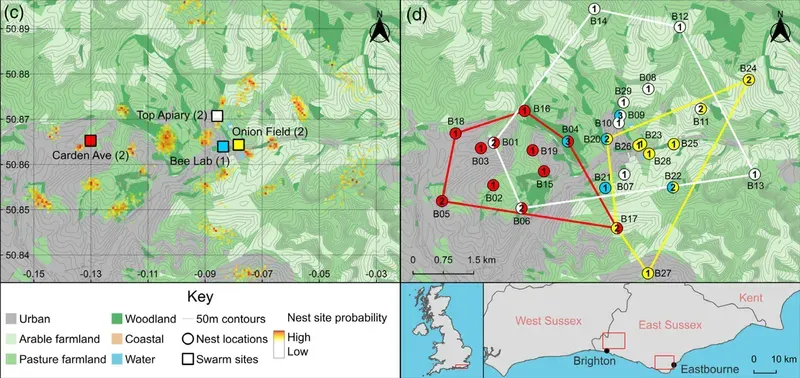 'Artificial' swarm locations (c) and mapped nest sites chosen (d); Visick et al., 2024