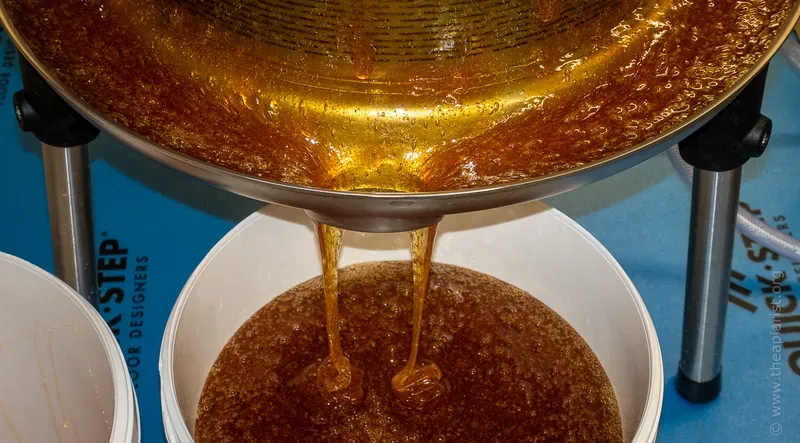 Extracting honey