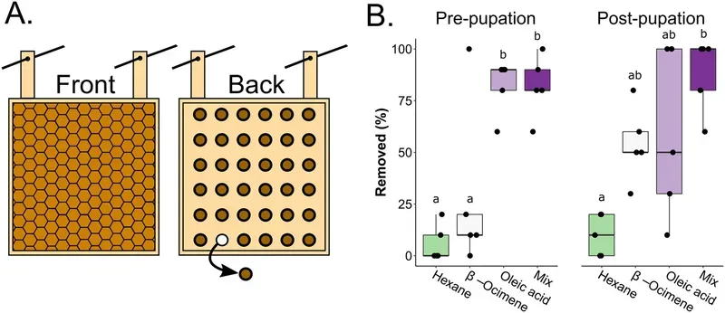 The 'back-way odorant assay', see text for details (McAfee et al., 2018)