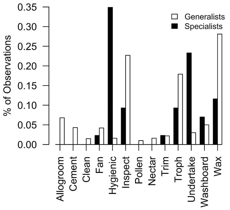 Specialist hygienic bees are act as undertakers (Perez & Johnson, 2019)