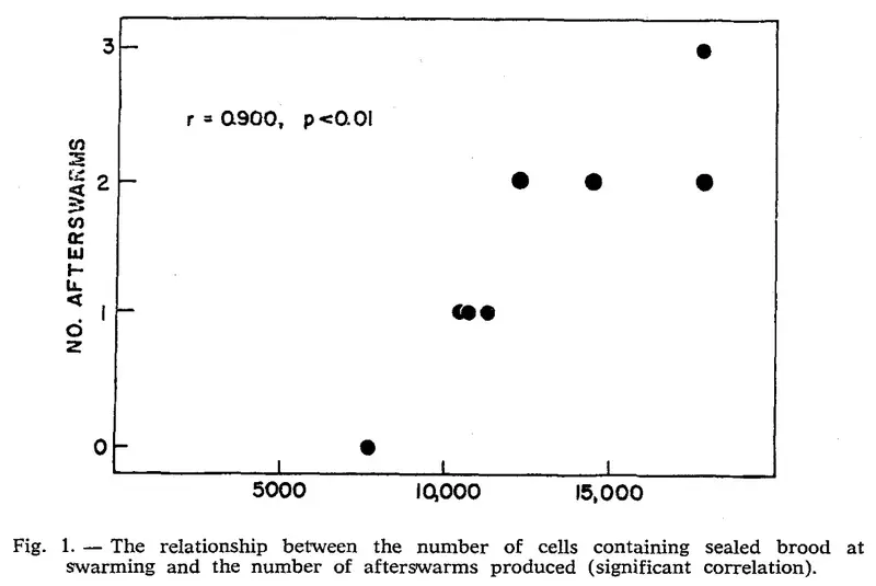 Graph showing correlation between sealed brood and afterswarming (Winson, 1980)