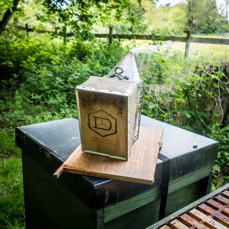 Beekeeping smoker standing on a board on a beehive roof