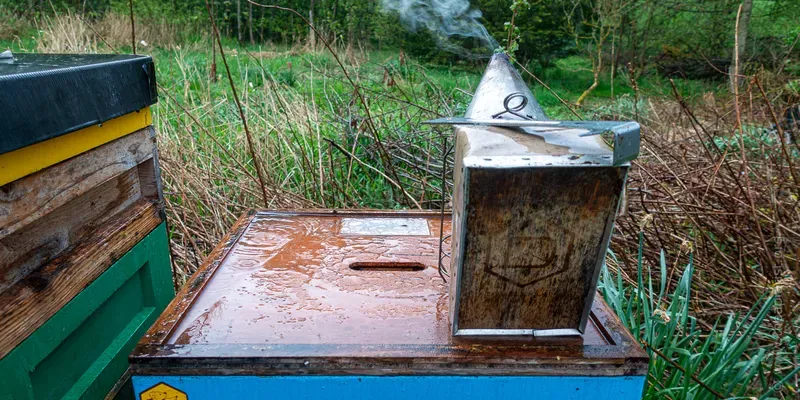 Open beehive with smoker and hive tool