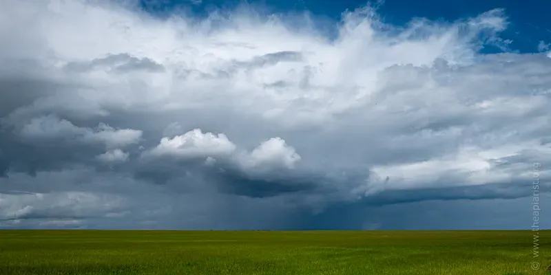 Rainclouds over a field of wheat