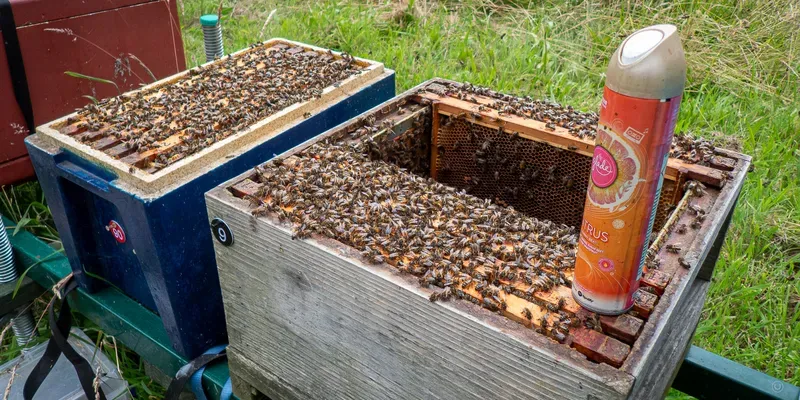 Bee hive with a can of air freshener