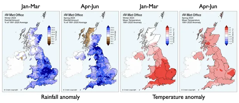 Weather chart showing rainfall and temperature for January to June 2024