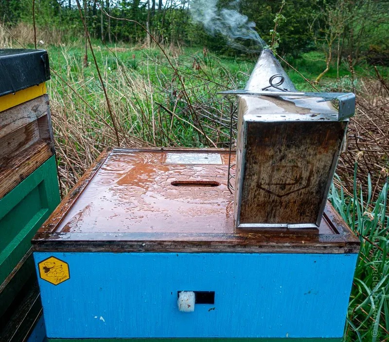 A beekeepers smoker standing on top of an open hive in the rain