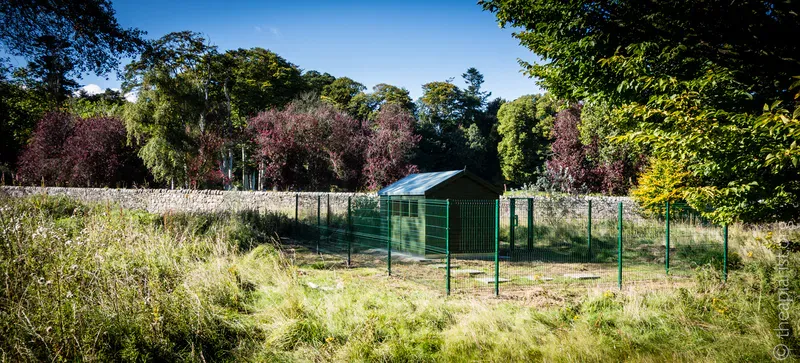 A shed in woodland surrounded by a metal fence