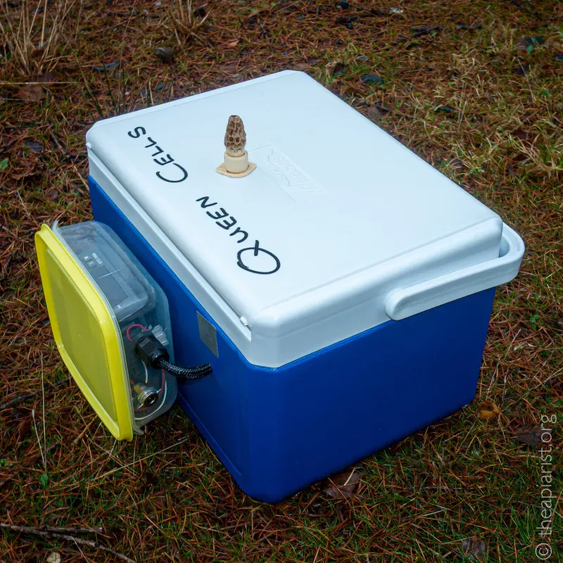 A small blue and white insulated picnic box converted to carry developing queen bees
