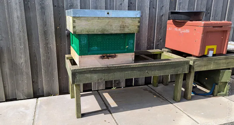 A polystyrene bee hive with a wooden floor and roof on a stand with some bees at the entrance