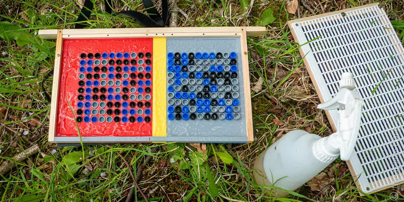 A wooden frame containing printed plastic cups for queen rearing, plus a spray bottle