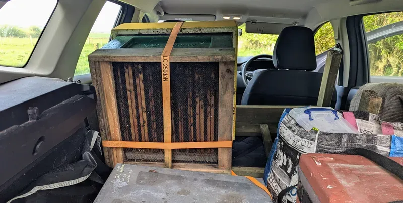 A colony of bees being transported in a car tipped over on the side