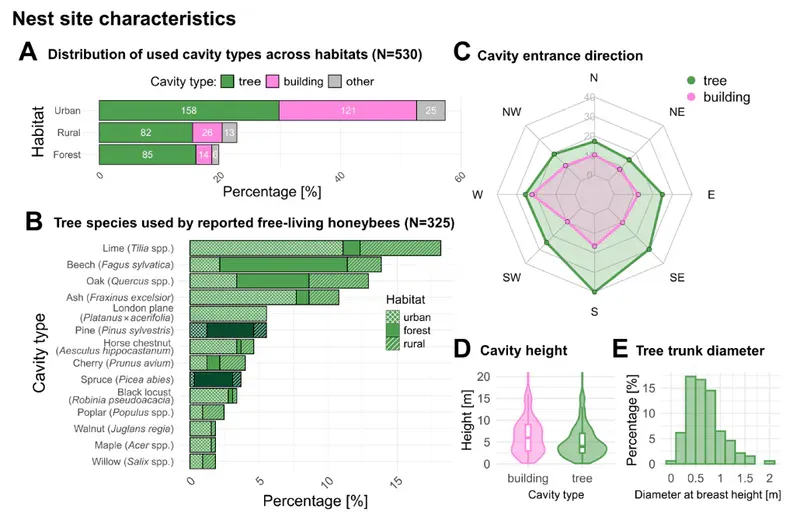 Characteritics of the nest sites used by free-living bees in Germany; location, cavity entrance, type of tree, cavity height and tree trunk diameter
