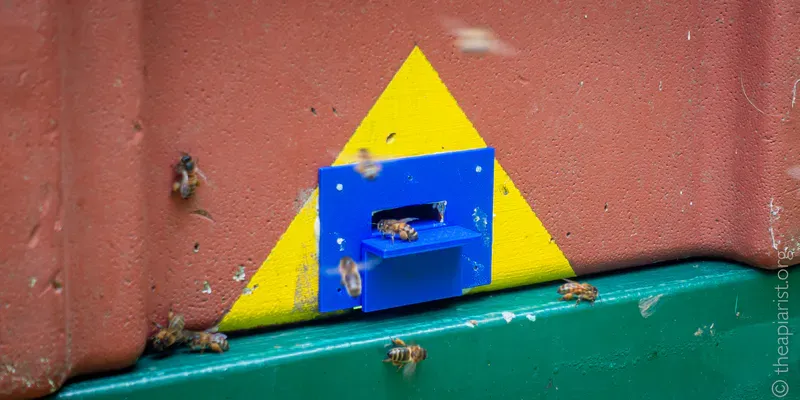 3D printed entrance for an original-model Paynes poly nuc