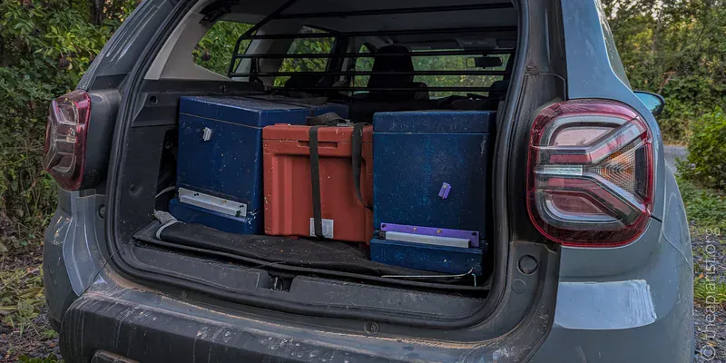 Open boot of an SUV with three beehives in it, two blue and one red.