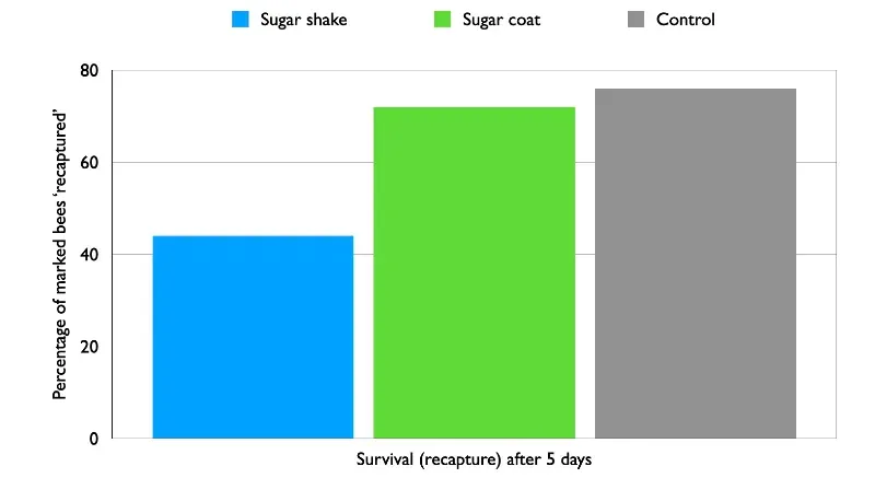 Graph showing recovery of marked bees after 5 days subjected to three treatments