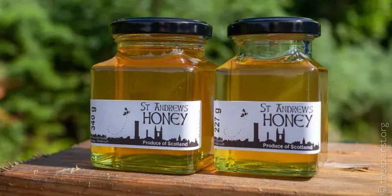 Two jars on clear honey on a piece of wood, each jar bearing a black on white printed label stating 'St Andrews Honey'