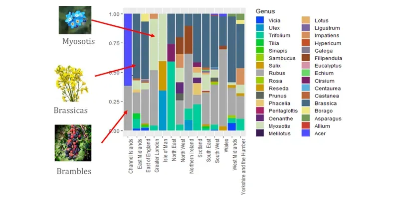 A coloured bar chart showing different plant types and the regions of the UK in which they are found