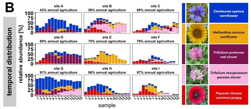 Nine bar charts in a 3x3 matrix, colour coded to show the temporal distribution of the 5 most abundant pollen types in different areas of Germany.