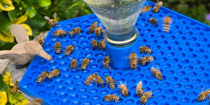 A blue plastic surface with water-filled hexagons used to hydrate bees