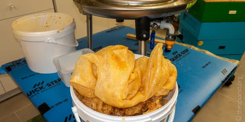 A white bucket filled with wax on a blue table with a mesh bag from which honey has been extracted