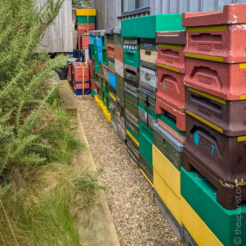 Empty bee hives stacked up against the side of a building.