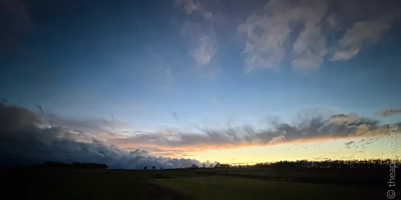 Sunset before an approaching storm. Silhouette of trees against the skyline, with dark menacing clouds.