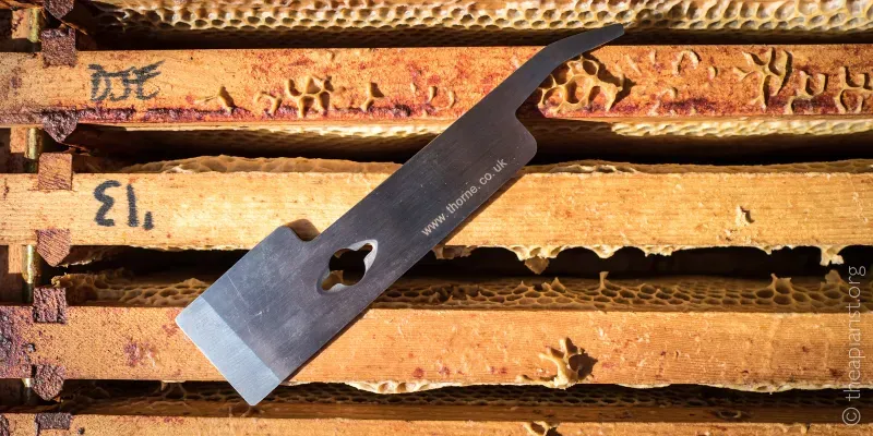 A very small beekeeping hive tool on the top of some frames from a beehive.
