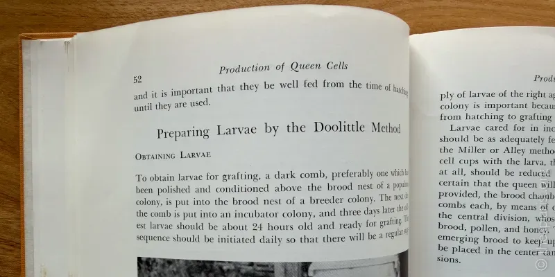 A photograph of an open book, a copy of Laidlaw and Eckert's 1962 book Queen Rearing