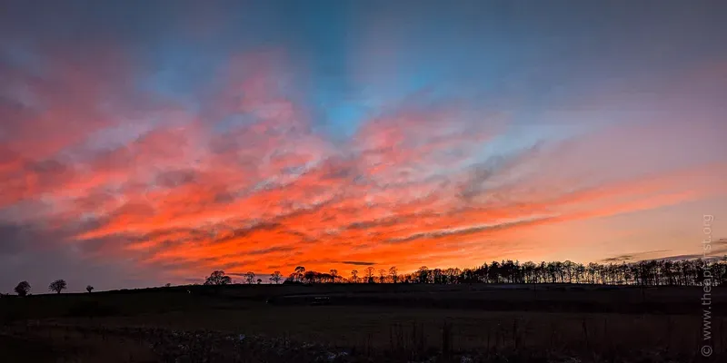 Picture of a sunset, orange clouds and silhouetted trees on the horizon