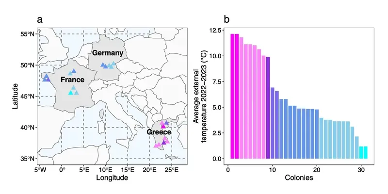 Map of Europe and graph showing average external temperature of hives in study