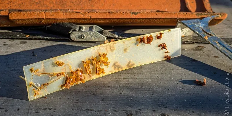 A photograph of a white vinyl Apivar miticide strip, encrusted with wax, on the plastic roof of a bee hive