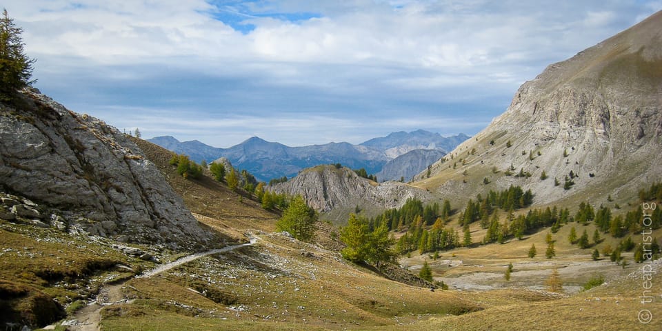 A sweeping alpine valley in Mercantour National Park, with a narrow rocky trail winding through golden autumn grasslands flanked by larch trees, with rugged limestone cliffs in the distance.
