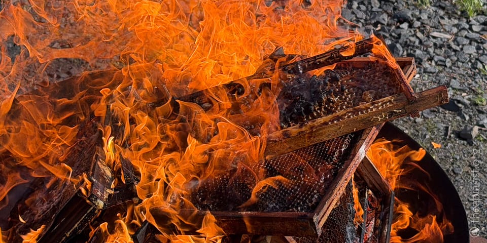 Wooden beehive frames with visible honeycomb structure engulfed in intense orange flames, being incinerated as part of disease management or hive destruction