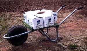 Hivebarrow and 50kg of fondant