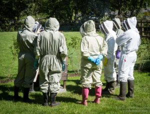 Trainee beekeepers