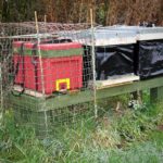 Polyhives and polythene