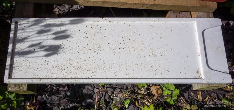 Poly Varroa tray from Thorne's Everynuc with visible mites.