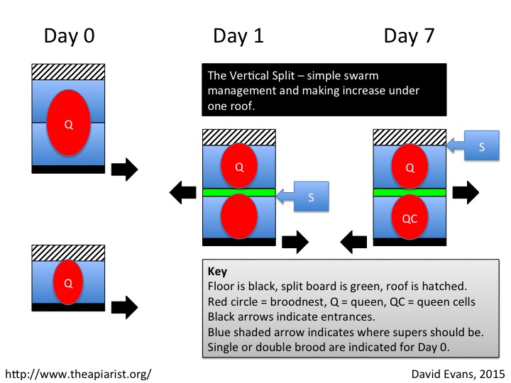 The Vertical Split in pictures