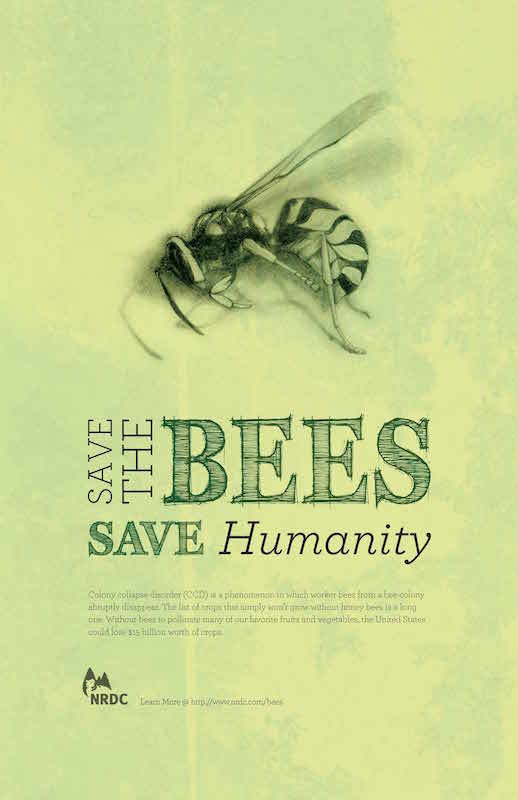 Save the bees ...
