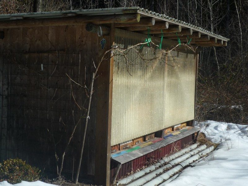 Small corrugated bee house