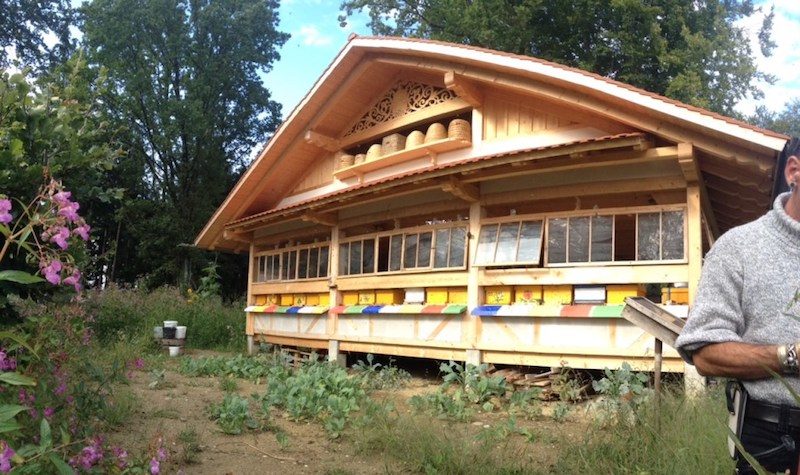 Luxury bee house