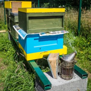 An Abelo/Swienty hybrid hive ...