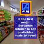 Supermarket bees